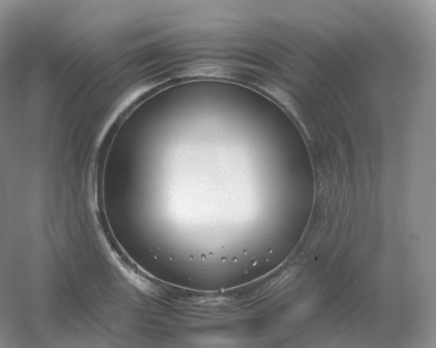 X0000054451131200508121904