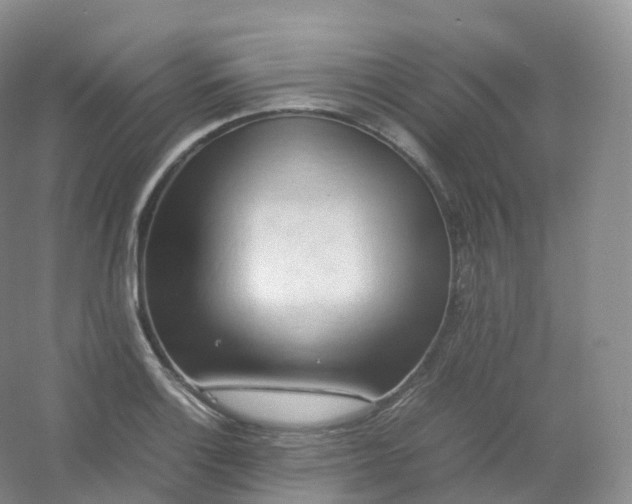 X0000054451132200508121904