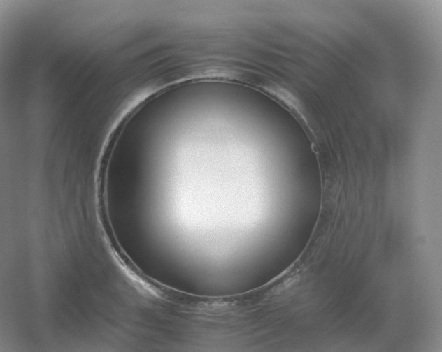 X0000054451135200508121904