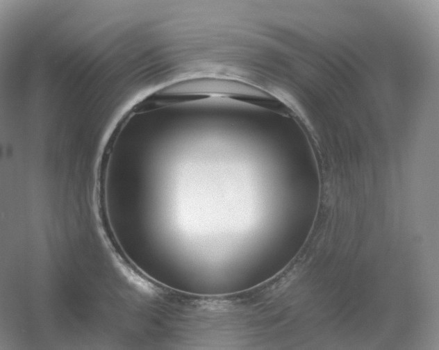 X0000054451136200508121904