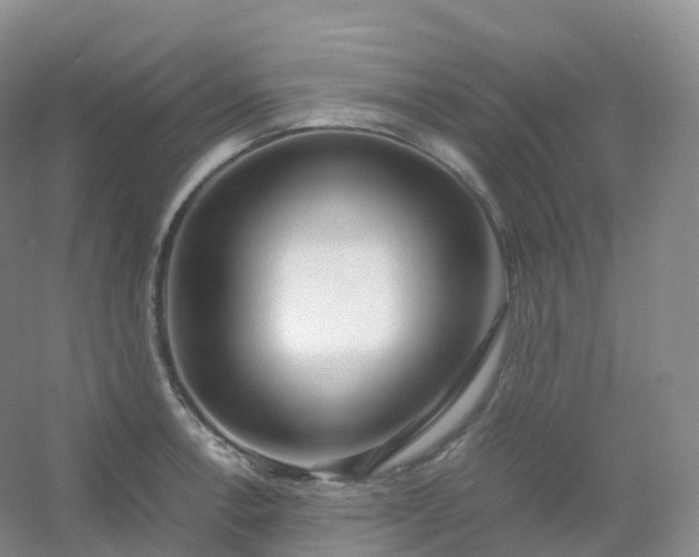 X0000054451138200508121904