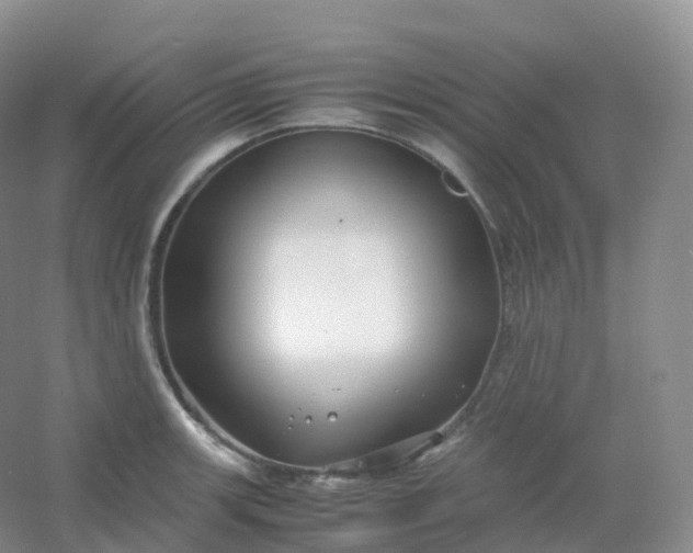 X0000054451139200508121904