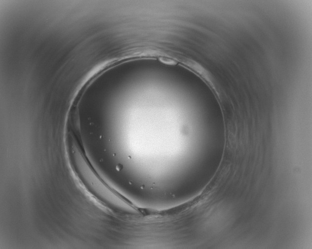 X0000054451142200508121904