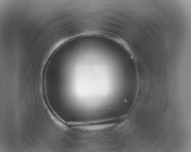 X0000054451143200508121904