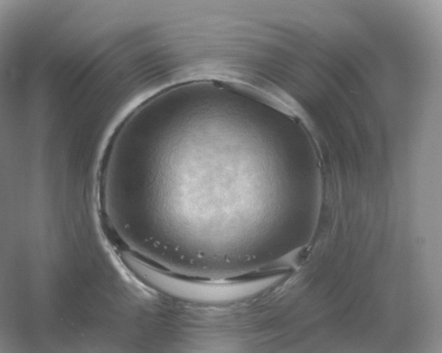 X0000054451144200508121904