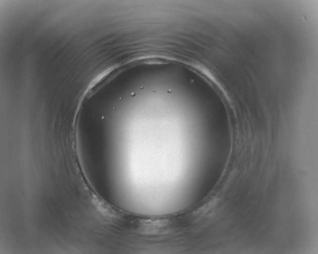 X0000054451145200508121904