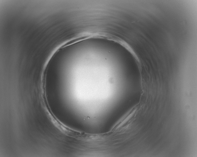 X0000054451148200508121904
