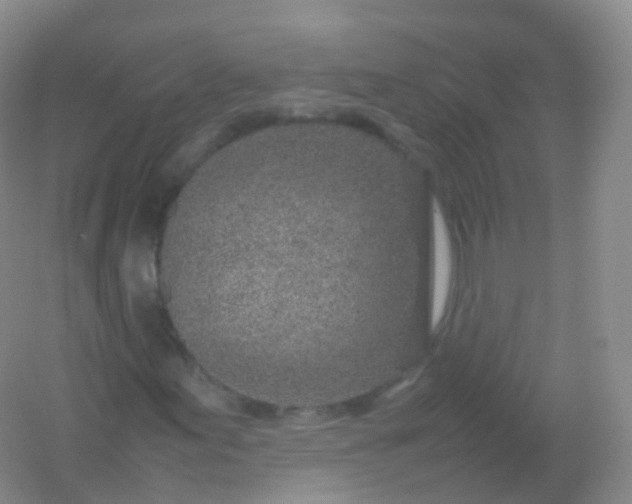 X0000054451155200508121903
