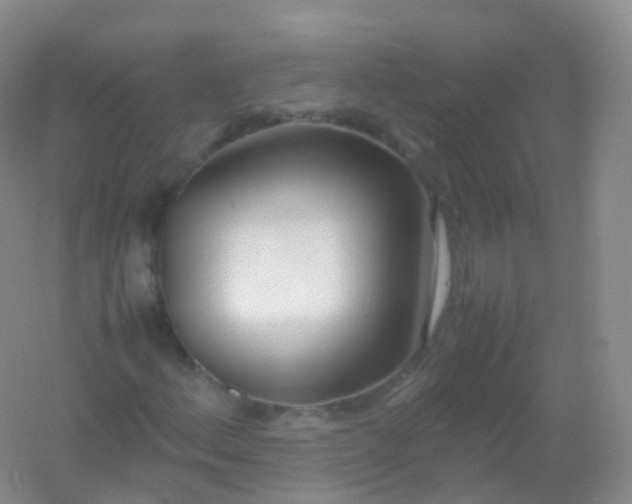 X0000054451156200508121903