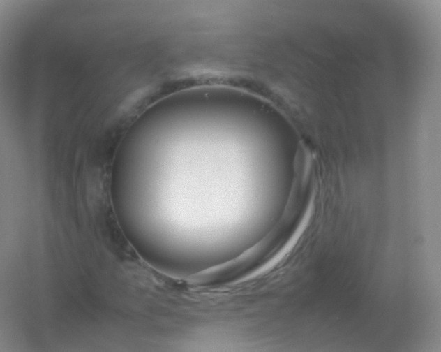 X0000054451157200508121903