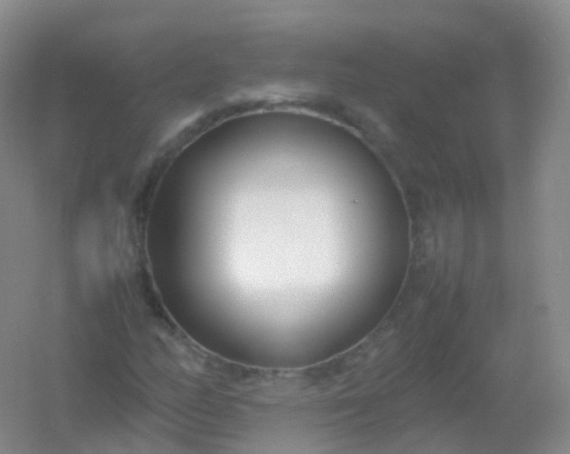X0000054451158200508121903