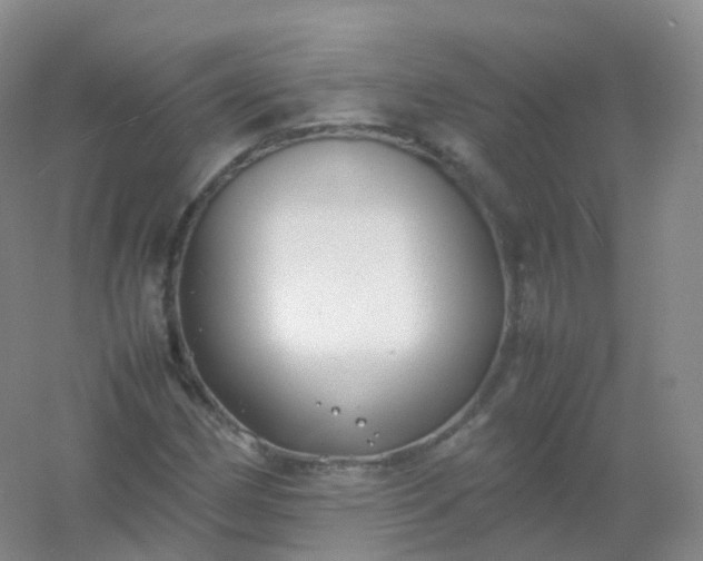 X0000054451162200508121903