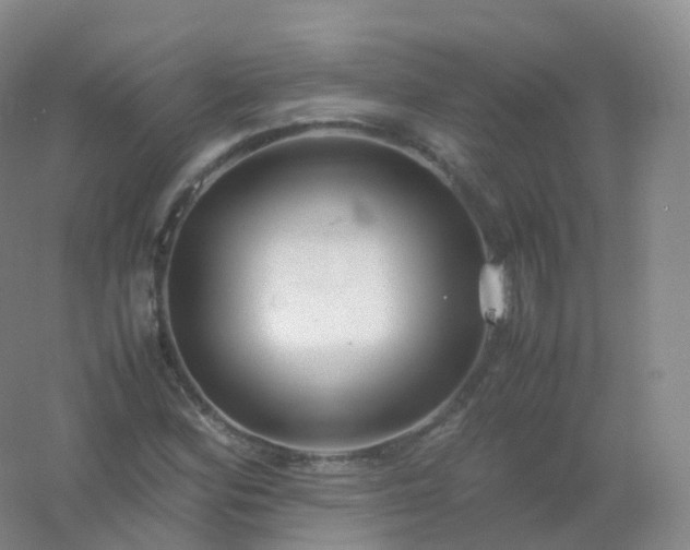 X0000054451164200508121903