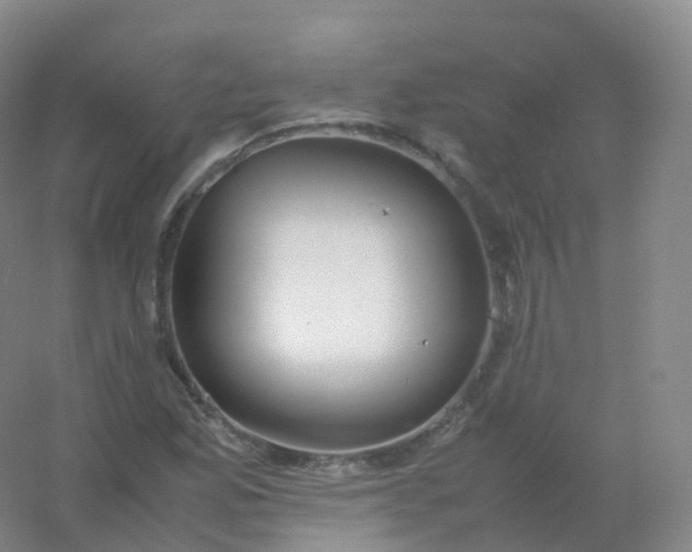 X0000054451165200508121903