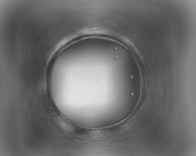 X0000054451167200508121903