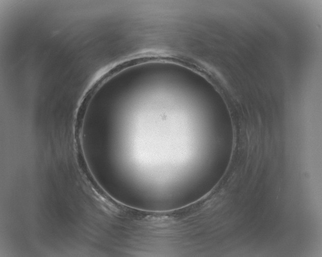 X0000054451168200508121903