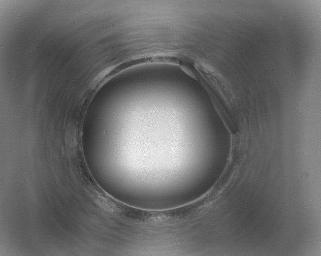 X0000054451169200508121903