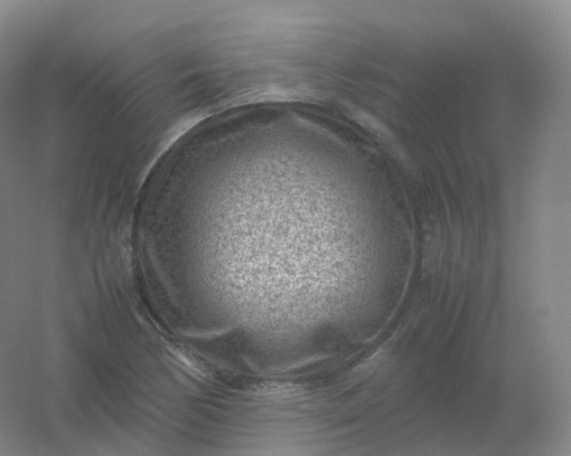 X0000054451170200508121903