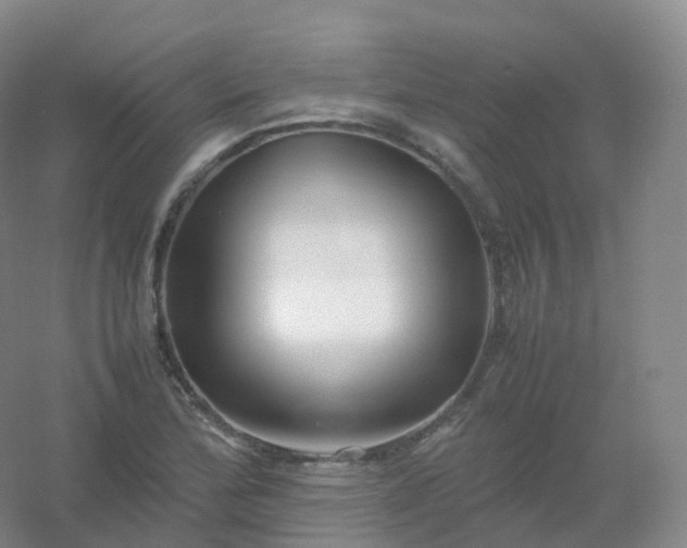 X0000054451172200508121903