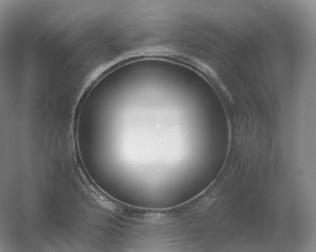 X0000054451176200508121903