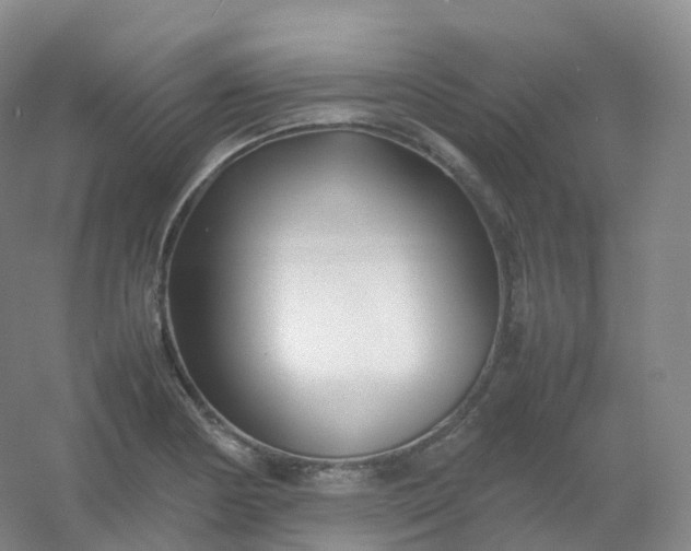 X0000054451178200508121903