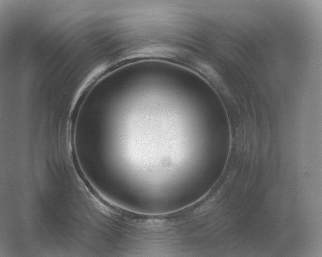 X0000054451180200508121903