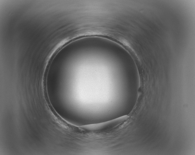 X0000054451181200508121903