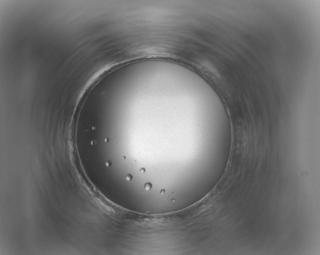 X0000054451182200508121903