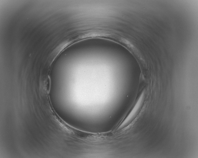 X0000054451185200508121903