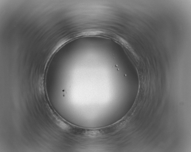 X0000054451186200508121903