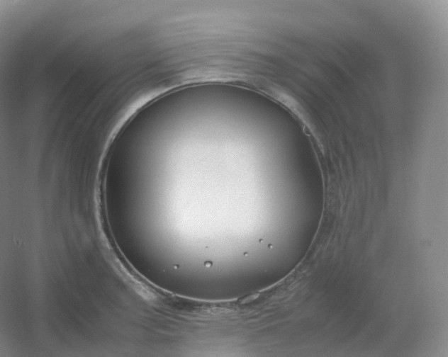 X0000054451187200508121903