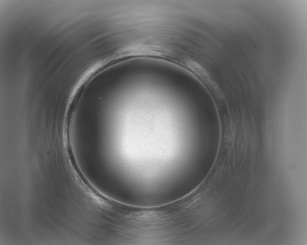 X0000054451188200508121903