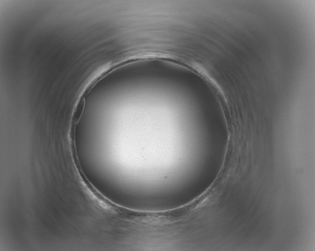 X0000054451189200508121903