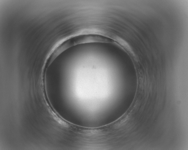 X0000054451192200508121903