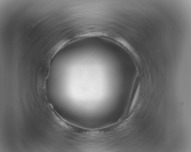X0000054451193200508121903