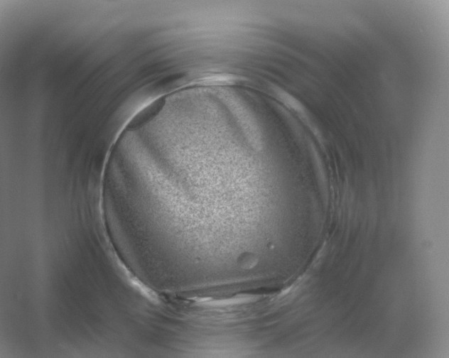 X0000054451194200508121903