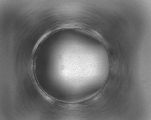 X0000054451196200508121902
