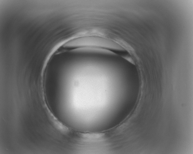 X0000054451200200508121902