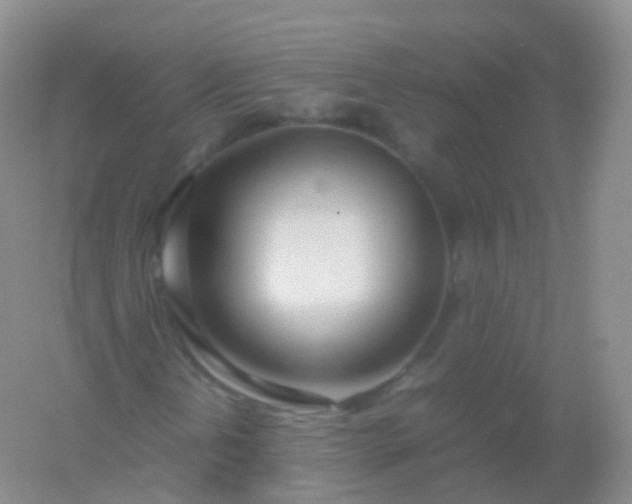 X0000054451202200508121902