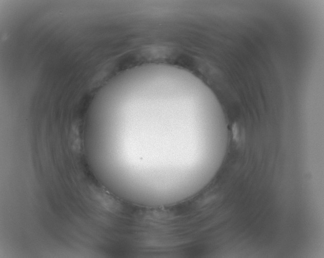 X0000054451203200508121902