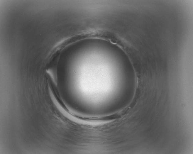 X0000054451206200508121902