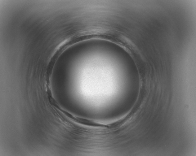 X0000054451210200508121902