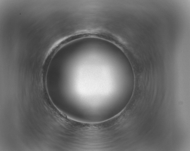 X0000054451214200508121902
