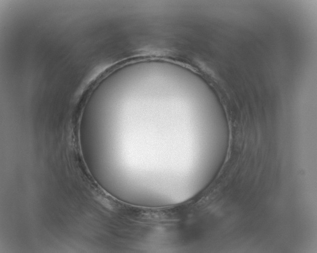 X0000054451215200508121902