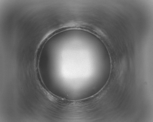 X0000054451216200508121902