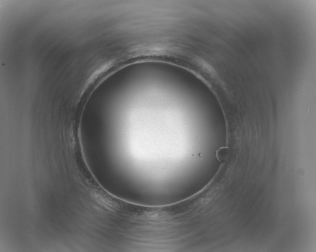 X0000054451218200508121902