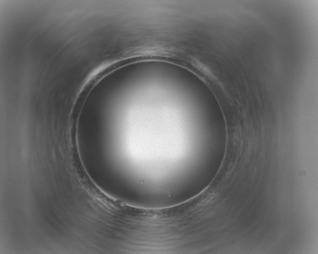 X0000054451222200508121902