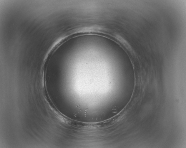 X0000054451224200508121902