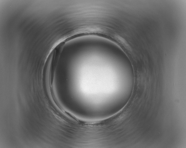 X0000054451226200508121902
