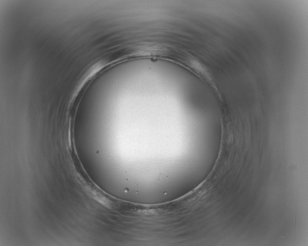 X0000054451227200508121902